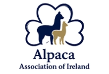 alpacas icon